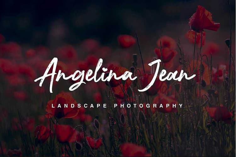 Nocturnal Brush Font