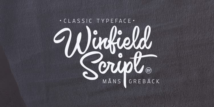 Winfield Font