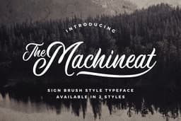Avenir Next Font Family