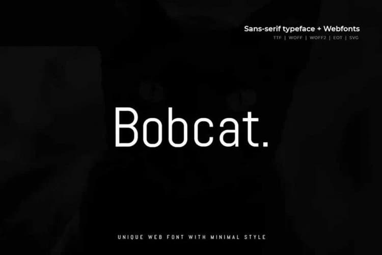 Bobcat Modern Typeface