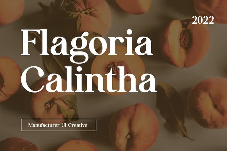 Flagoria Calintha Font