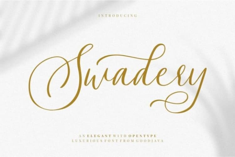 Swadery Script Font