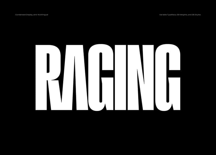 Raging Font Family