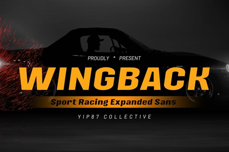 Wingback Font