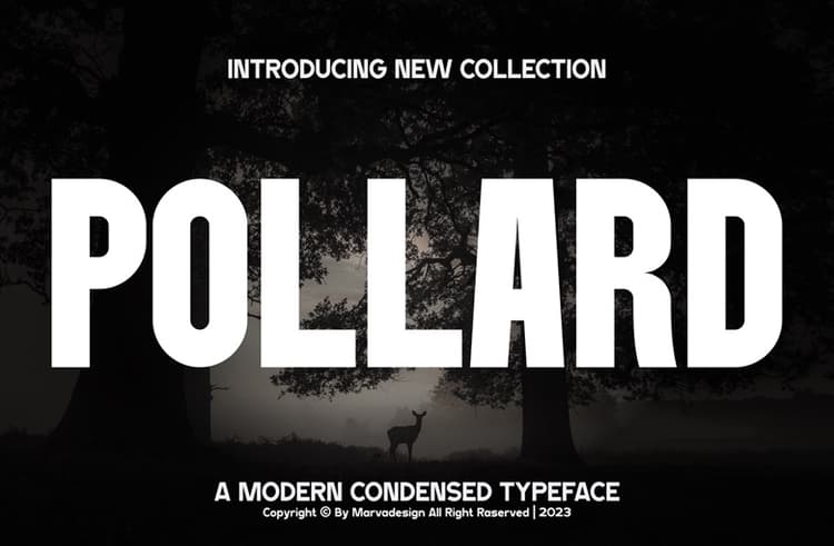 Pollard Font