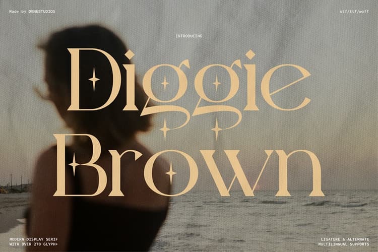 Diggie Brown Font
