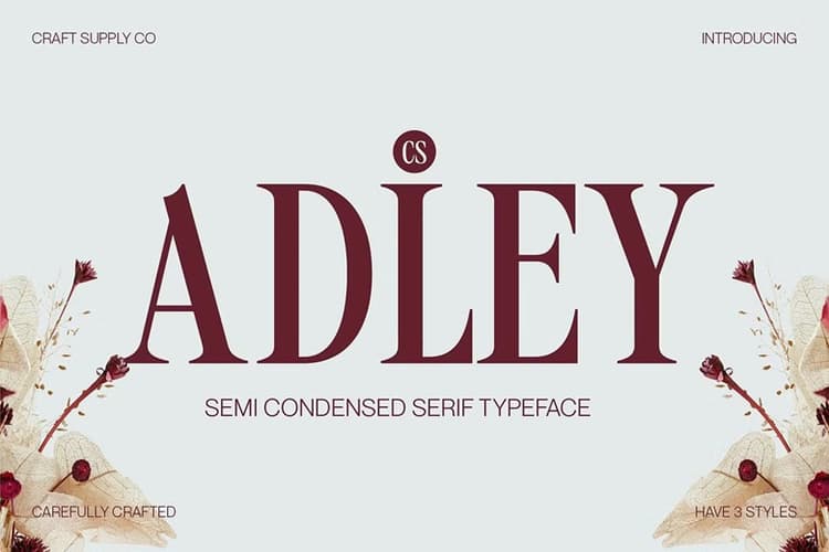 CS Adley Font