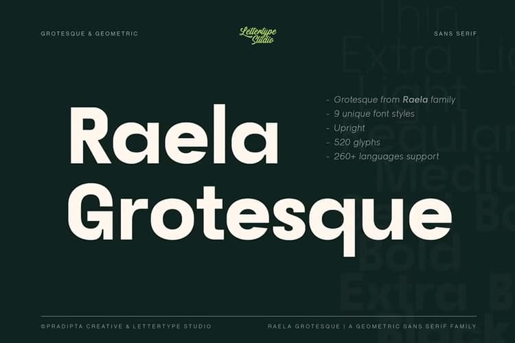 Raela Grotesque Font Family