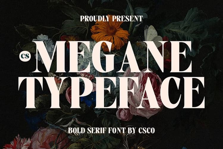 CS Megane Font