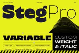 Steg Pro Font