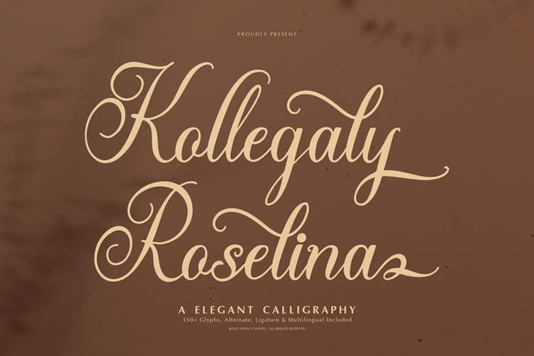 Kollegaly Rosalina Font