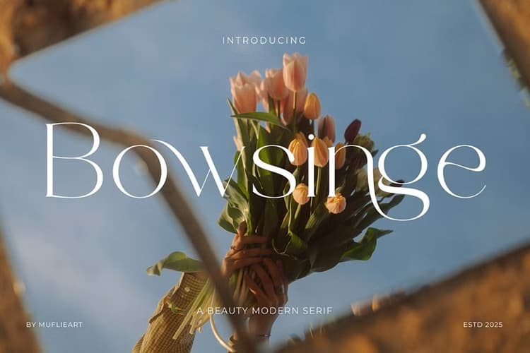 Bowsinge Font