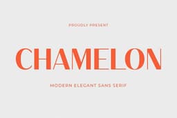 Chamelon Font
