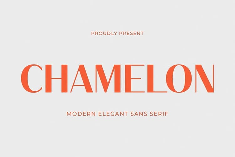 Chamelon Font