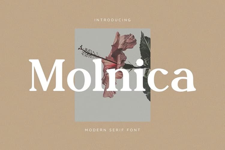 Molnica Font