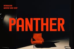 Panther Sans Font