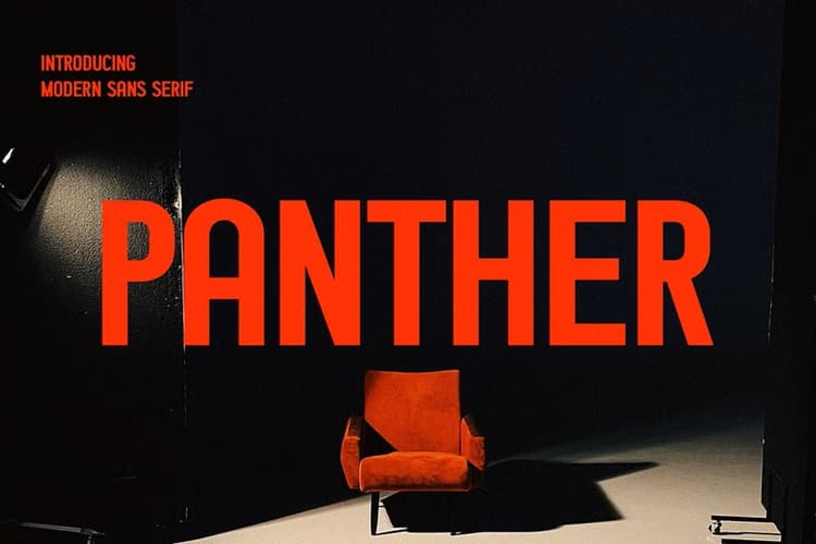 Panther Sans Font