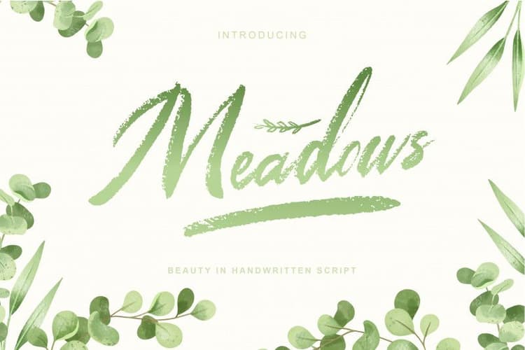 Meadows Script Font