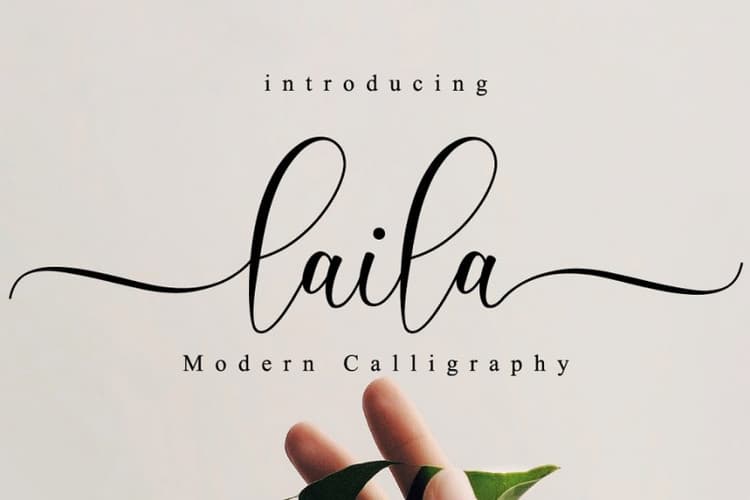 Laila Modern Calligraphy  Font