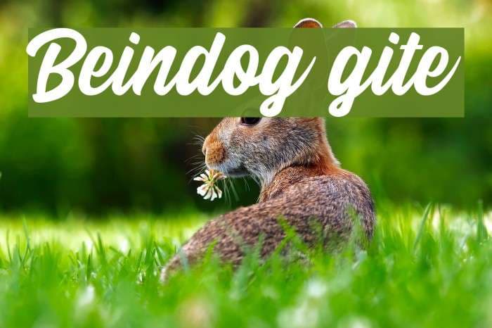 Beindog Gite Font