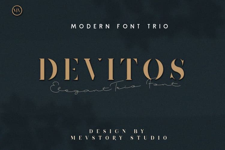 Devitos Modern Elegant Serif Font