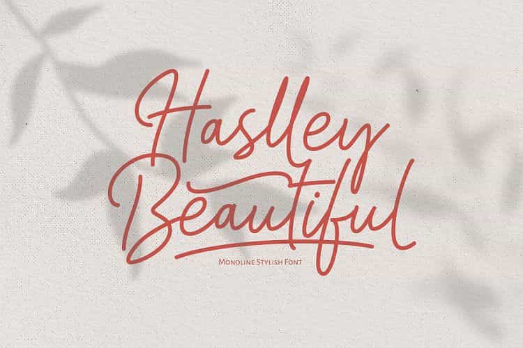 Haslley Beautiful Moniline Font Image 1