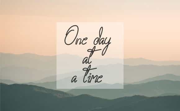 Zamilla Monoline Script Font Image 2