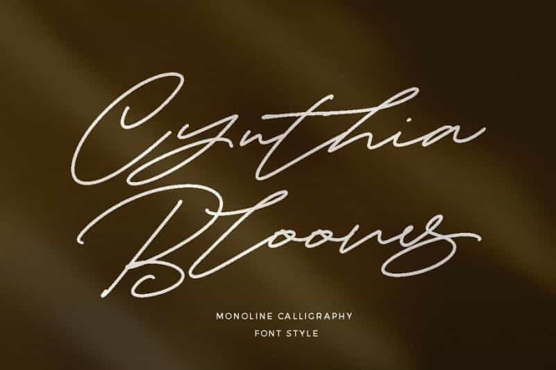 Cynthia Blooms Signature Font Image 1