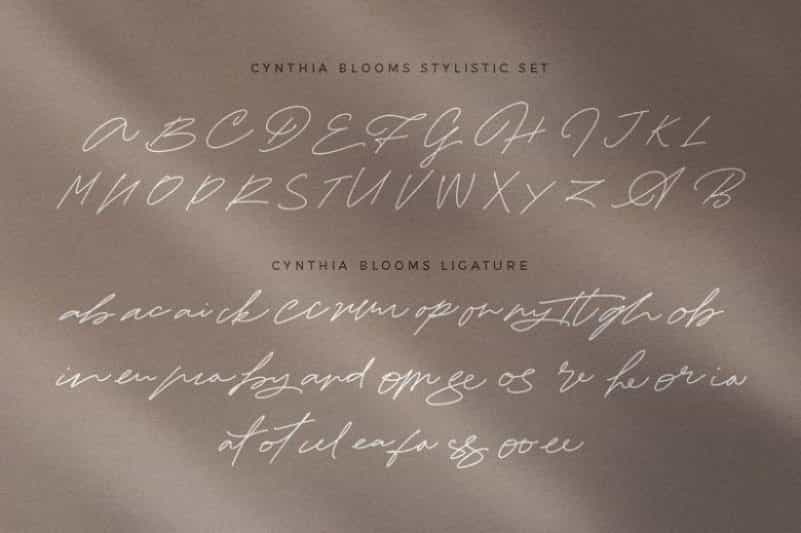 Cynthia Blooms Signature Font Image 3