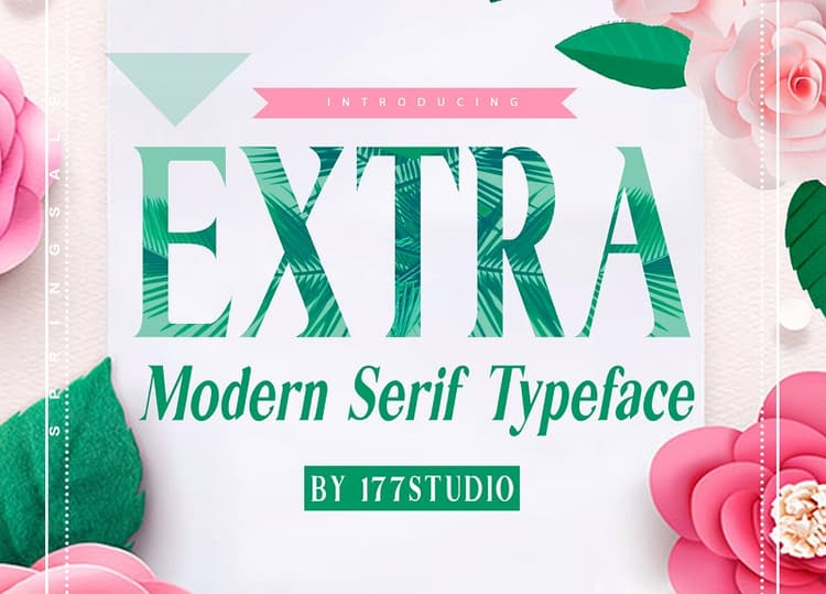 Extra Modern Serif Font Family