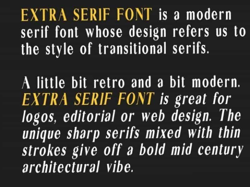 Extra Modern Serif Font Family Image 3