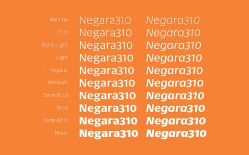 Negara Serif Font Image 3