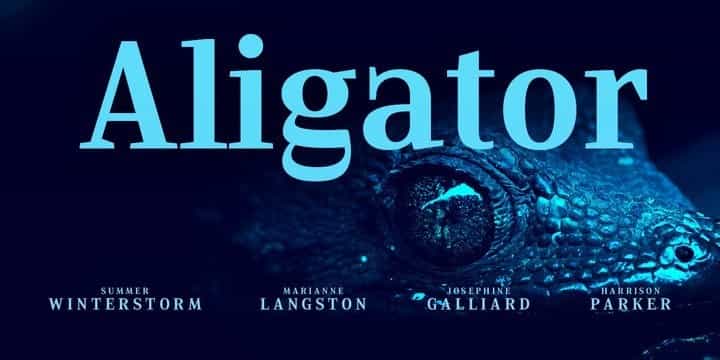 Marilka Serif Font Image 3