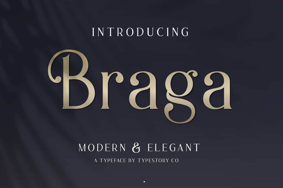 Braga Serif Font Image 1