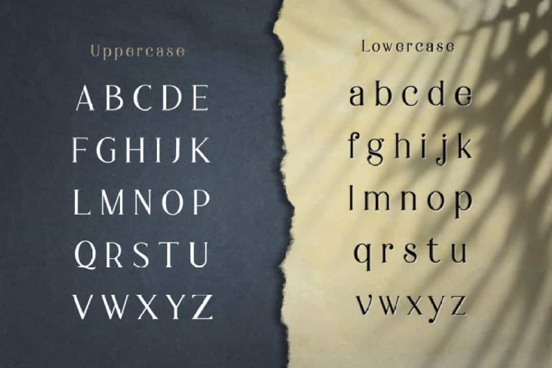 Braga Serif Font Image 3