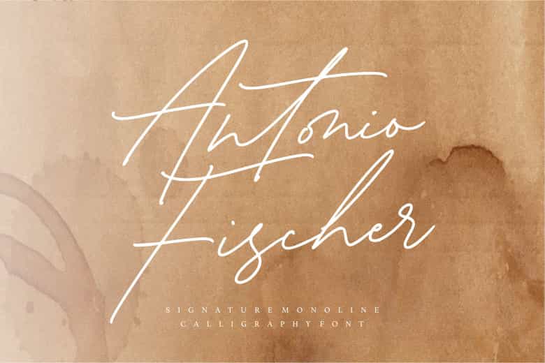 Antonio Fischer Signature Monoline Script Font Image 1