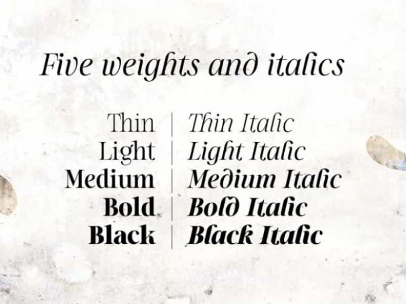 Sharpe Font Family Image 2