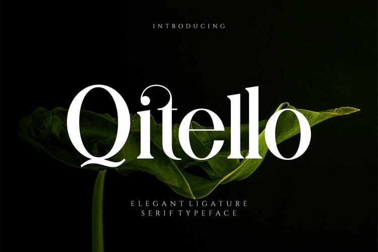 Qitello Font