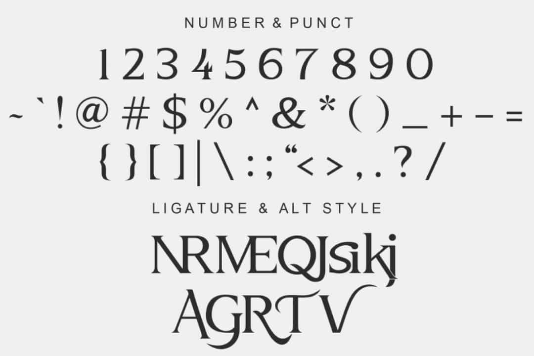 Vertile Font Image 3
