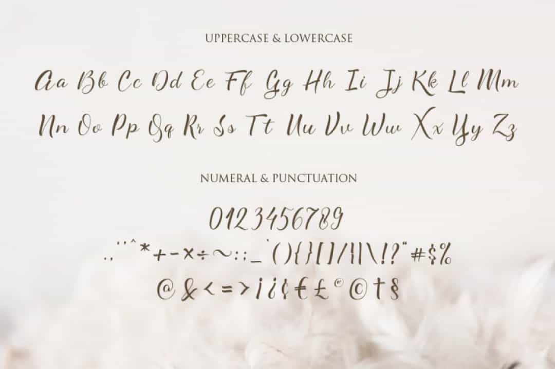 Alyaneta Font Image 3