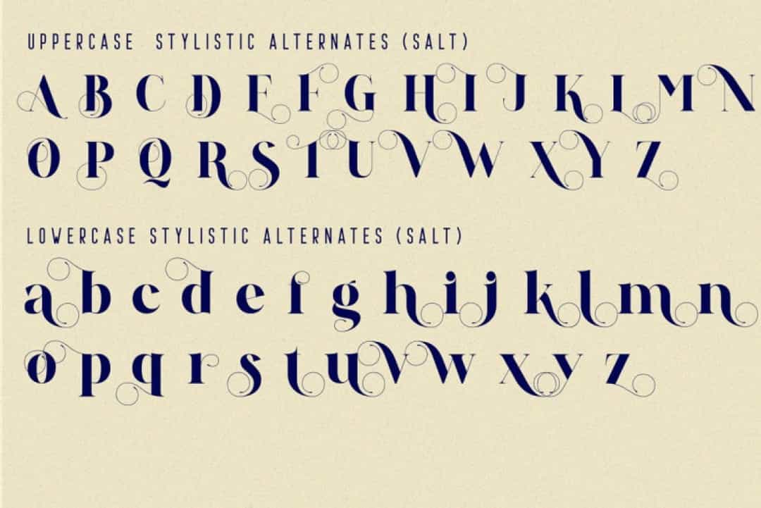 Andrew Elegant Font Image 3