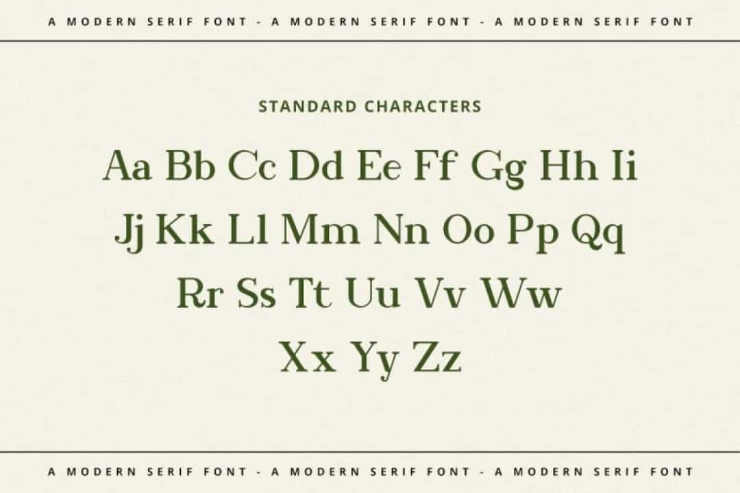 Bookinnes Font Image 3