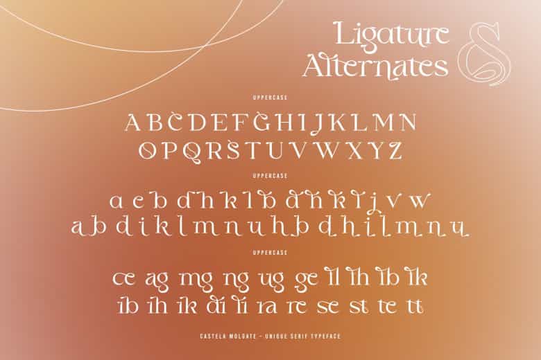 Castela Molgate Font Image 3