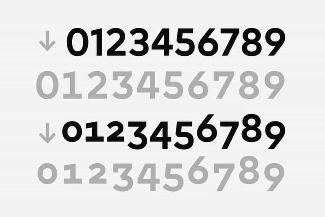 Chesna Grotesk Font Family Image 3