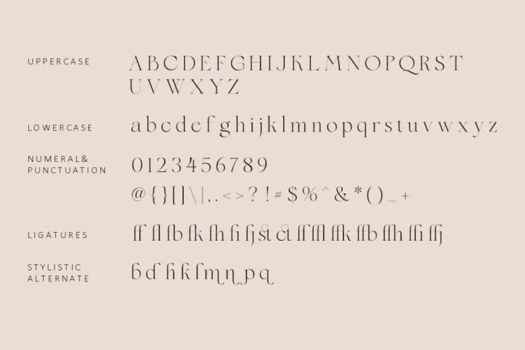 Floreal Font Image 3