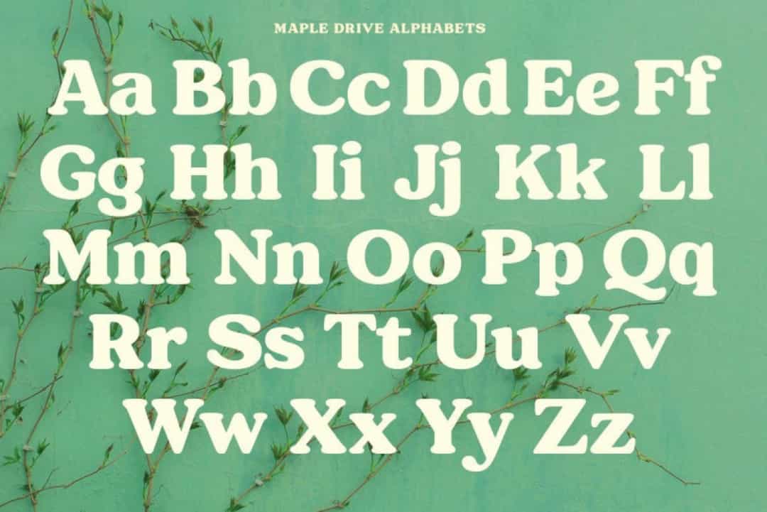 Maple Drive Font Image 3