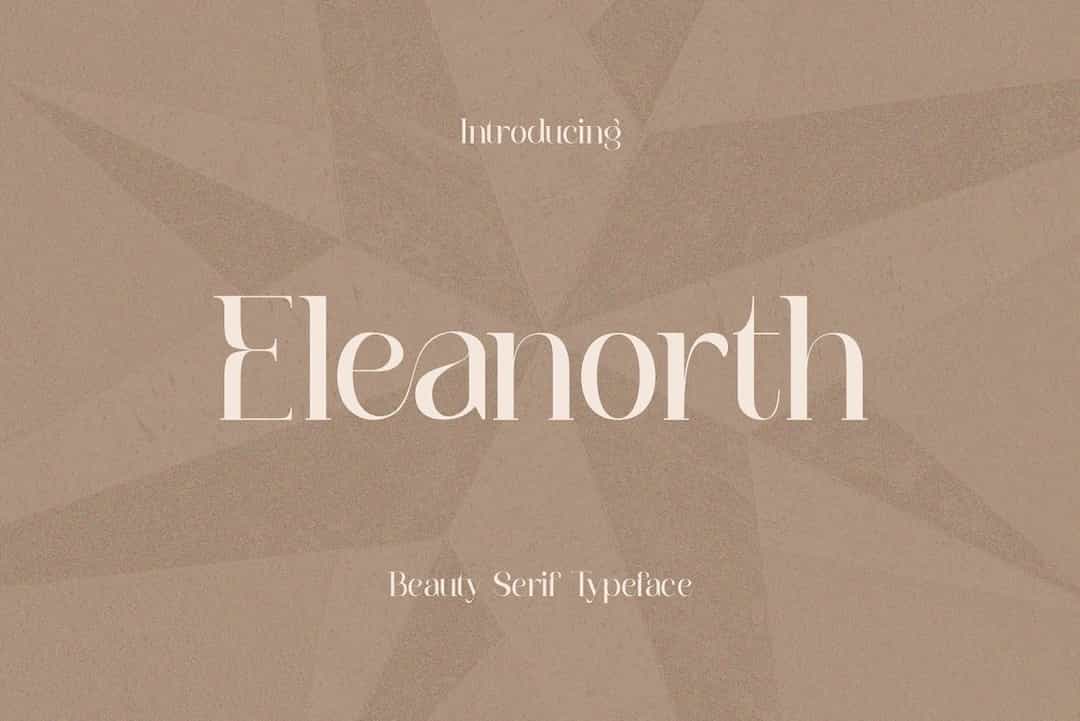Eleanorth Font Image 1