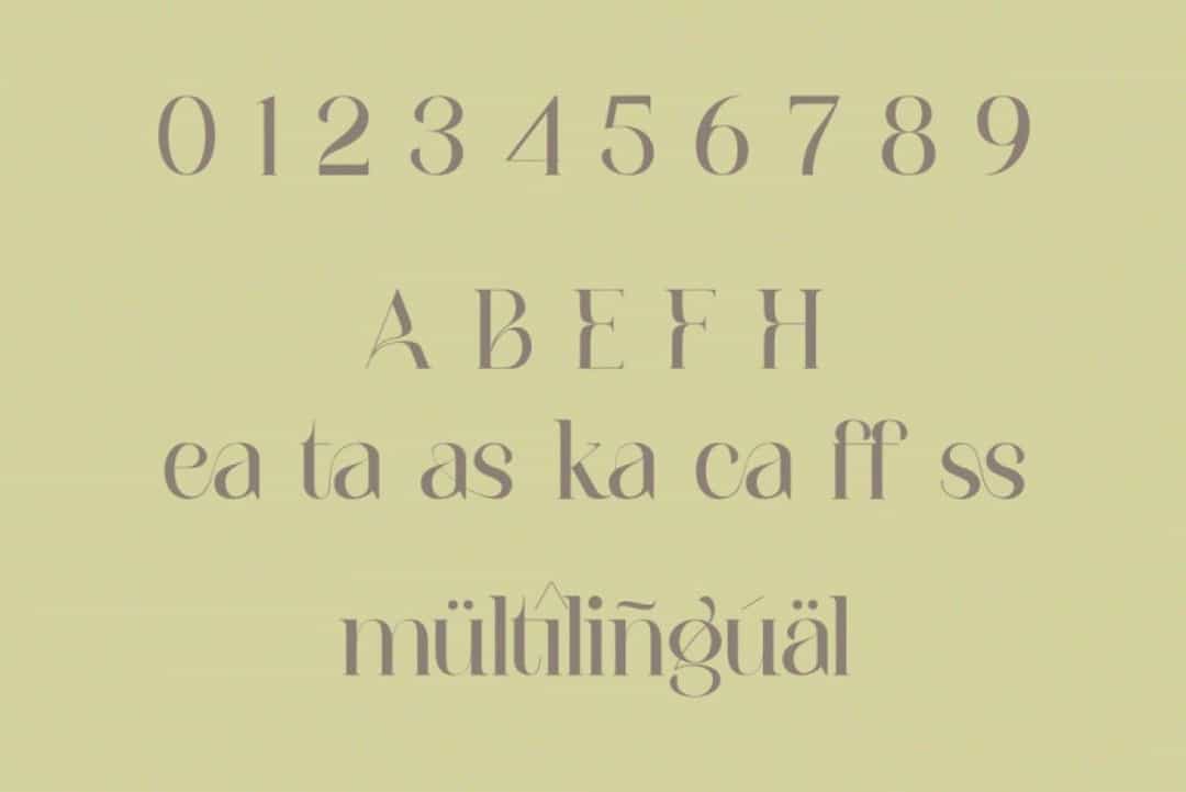 Eleanorth Font Image 3