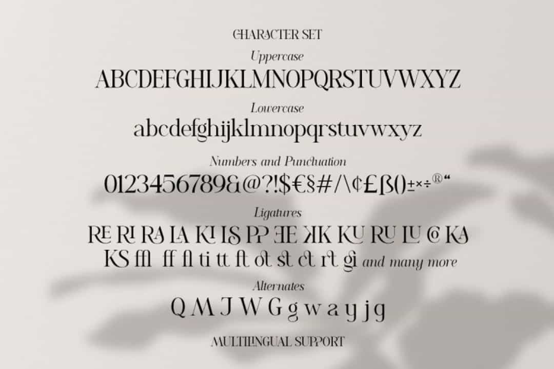 Romelu Vomelu Font Image 3
