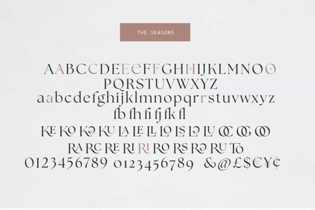 The Seasons Font Image 3
